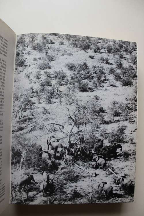 VALLEY OF THE IRONWOODS  - Allan Wright  - Rhodesiana