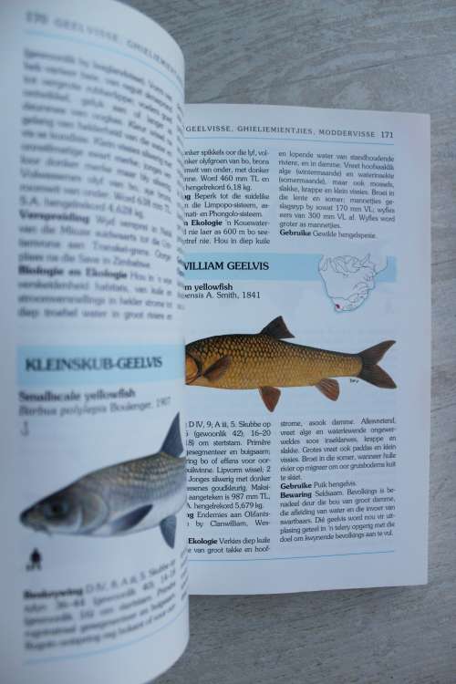 n Volledige Gids tot die Varswatervisse van Suider-Africa - Paul Skelton