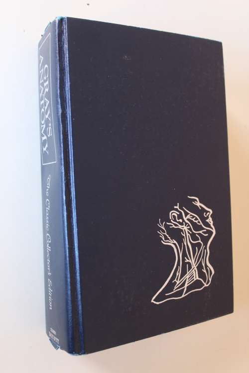 Gray's Anatomy - Henry Gray