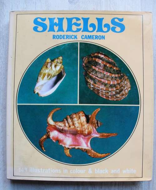 Shells - Roderick Cameron