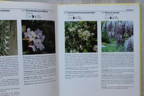 Keith Kirsten se grondbeginsels vir tuinmaak