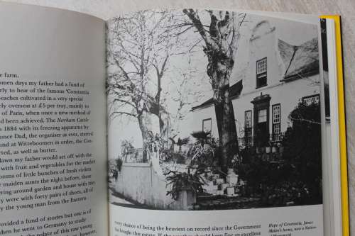 RONDEBOSCH & ROUND ABOUT -    Adele Naude