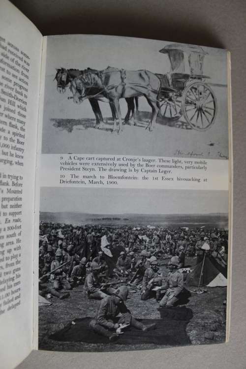 Panther Head - Lawrence G. Green