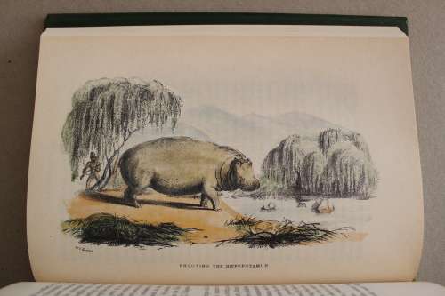 Wild Sports of Southern Africa - Cornwallis Harris, William