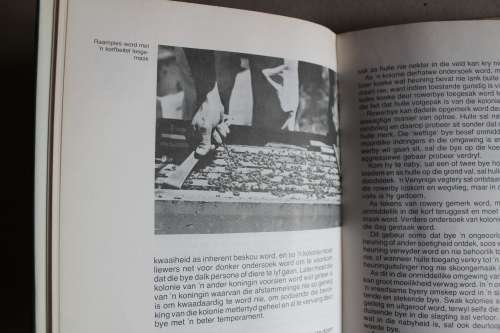 Praktiese Byeboerdery - G.P.Beyleveld