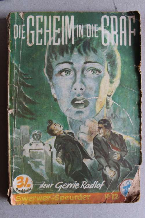 Geheim van die graf - Swerwer-Speurder reeks  - Gerrie Radlof