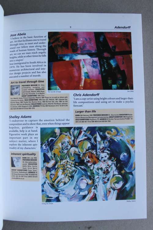 The Collector`s Guide to Art and Artists in South Africa