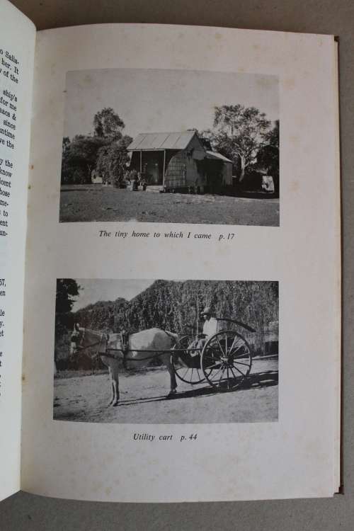 A Husband and a farm in Rhodesia  - Boggie