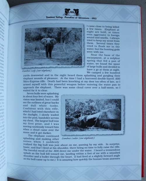 Ian Nyschens - MONTHS OF THE SUN