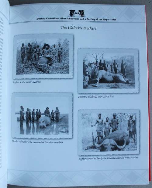 Ian Nyschens - MONTHS OF THE SUN