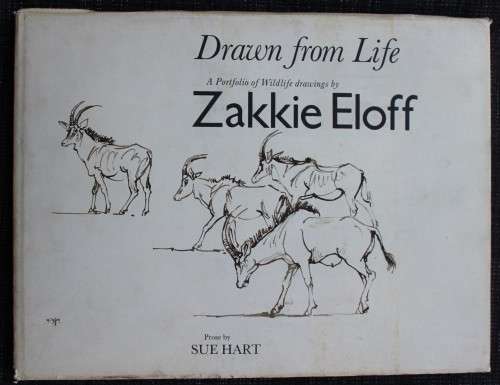 Drawn from Life - Portfolio of Wildlife drawings from Zakkie Eloff