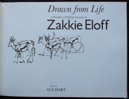 Drawn from Life - Portfolio of Wildlife drawings from Zakkie Eloff