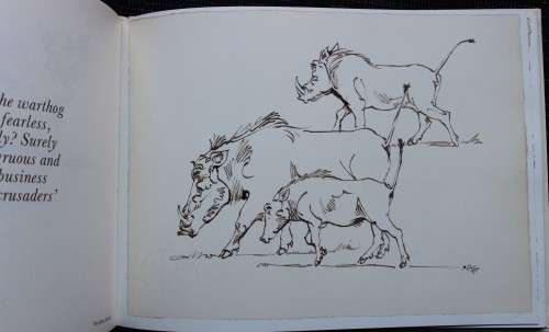 Drawn from Life - Portfolio of Wildlife drawings from Zakkie Eloff