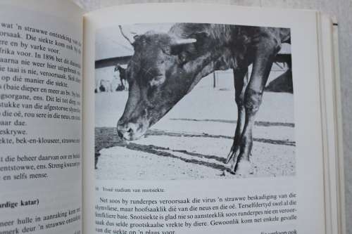HANDBOEK OOR VEESIEKTES -- Monnig en Veldman
