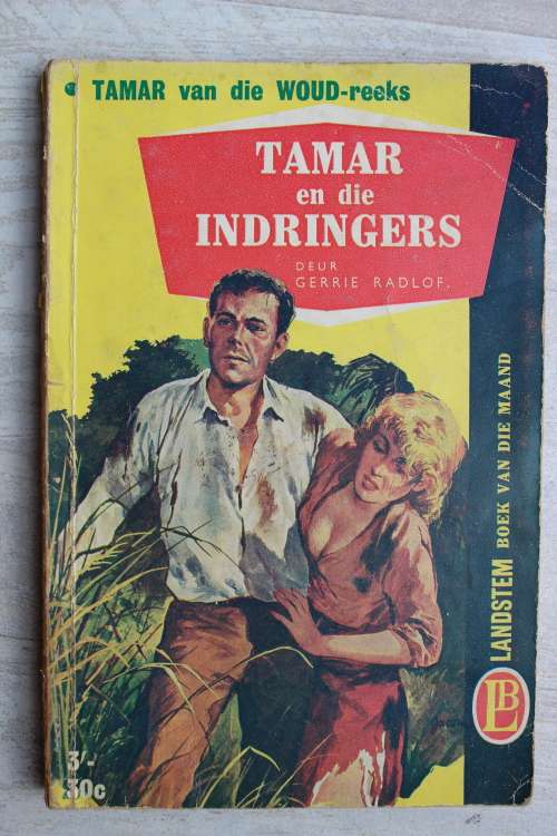 Tamar van die woud reeks - Tamar en die indringers - Gerrie Radlof - Landstem boeke
