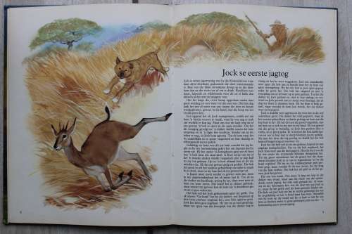 JOCH van die Bosveld - Fitzpatrick