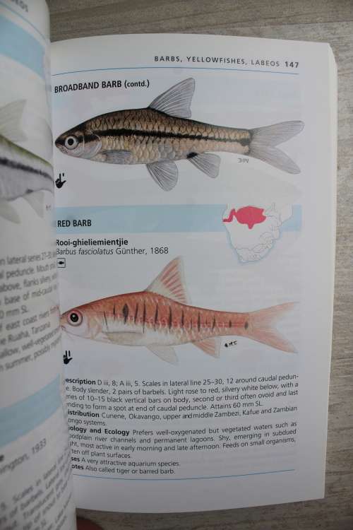 A Complete Guide to the Freshwater Fishes of Southern Africa.  Paul Skelton.