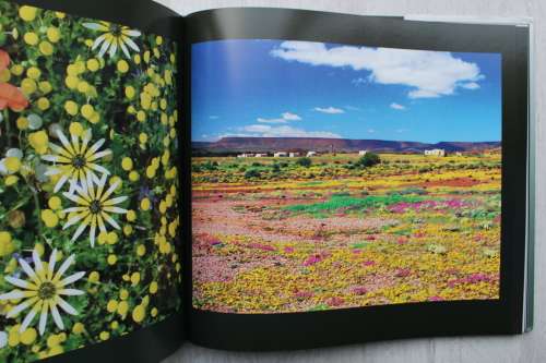 Karoo Pastoraal: Fotografiese Essay -- Tom Burgers