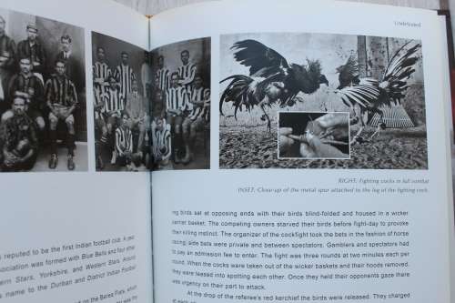 Legends of the Tide, The Seine-Netters & the Roots of  Durban Fishing Industry - Govender / Chetty