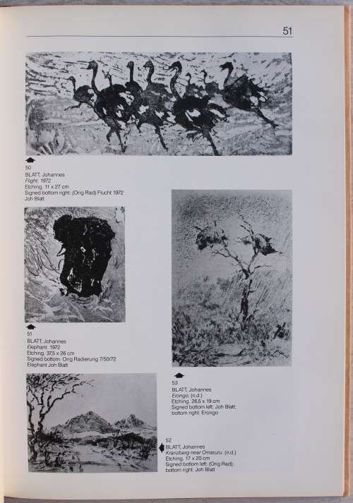 The Levinson Collection: Being the Olga & Jack Levinson Collection SWA/Namibian Art