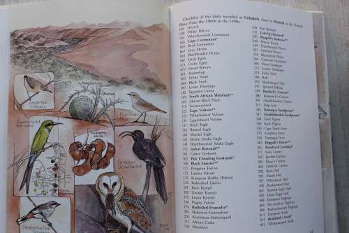 Birding in Namibia ~ Demasius / Marais