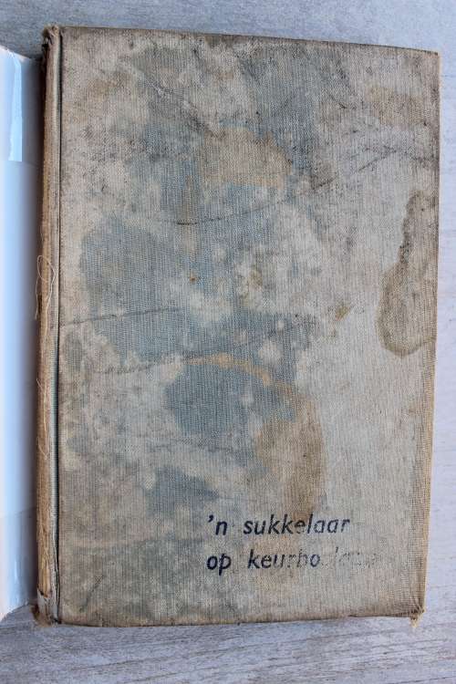 `n Sukkelaar op Keurboslaan - Krogh