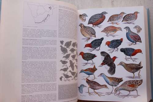 Roberts Birds of Southern Africa - (Editors- Hockey, Dean & Ryan)