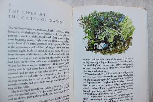 The Wind in the Willows- Kenneth Grahame