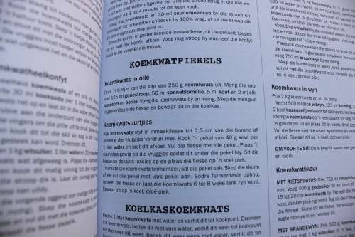 Lekker vir later plus - Annette Human