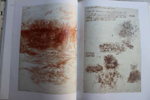 Leonardo Da Vinci - Daniel Arasse