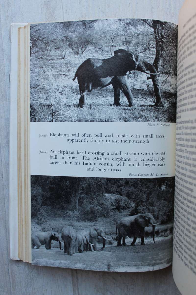 Hunter - Hunter, J. A.