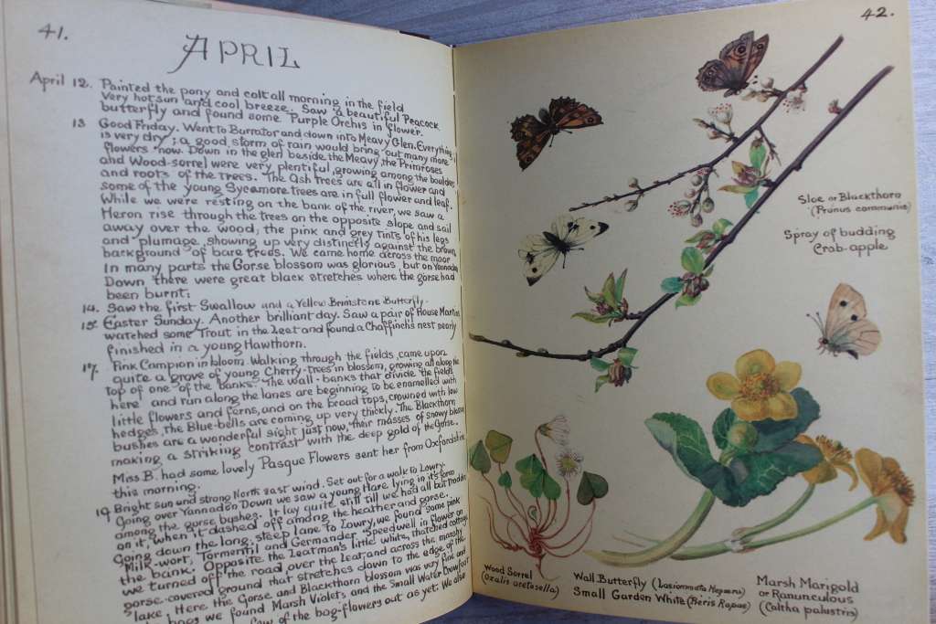 THE COUNTRY DIARY OF AN EDWARDIAN LADY -  EDITH HOLDEN