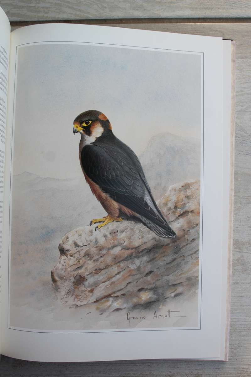 Hunters of the African Sky - Peter Steyn and Graeme Arnott