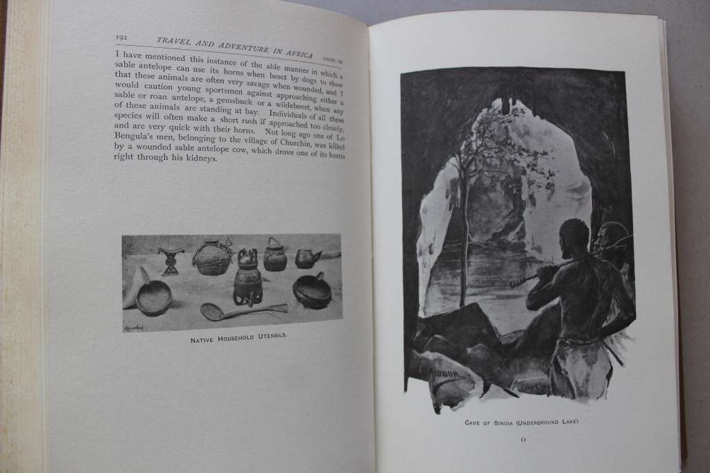 Travel and Adventure in South-East Africa - Frederick Courteney Selous