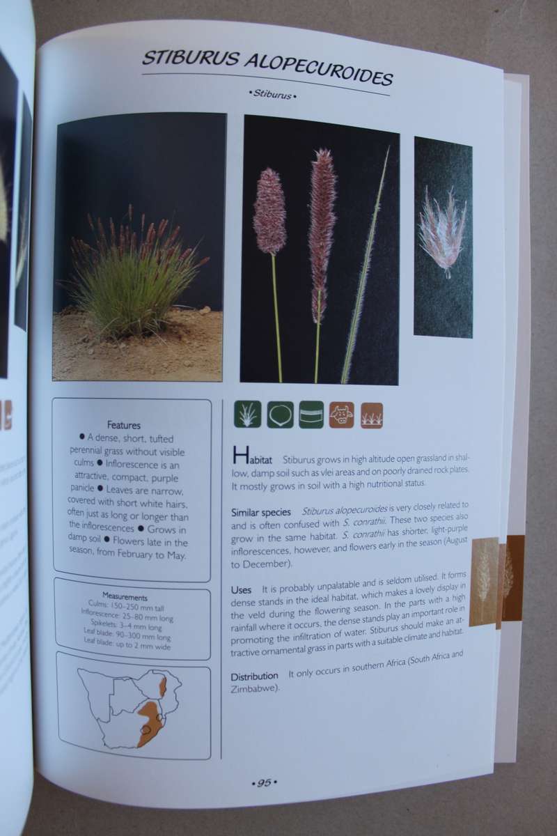 Guide to Grasses of Southern Africa - Frits Van Oudtshoorn