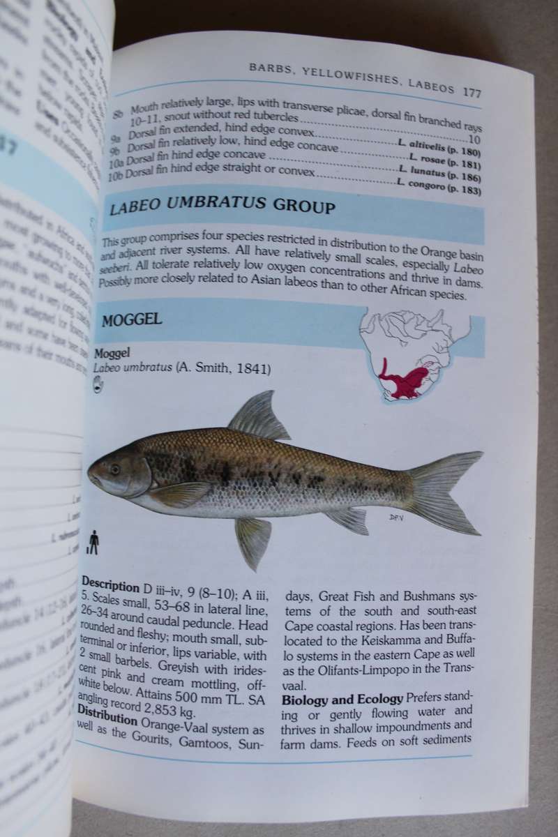 A Complete Guide to the Freshwater Fishes of Southern Africa. FIRST EDITION. By Peter Skelton