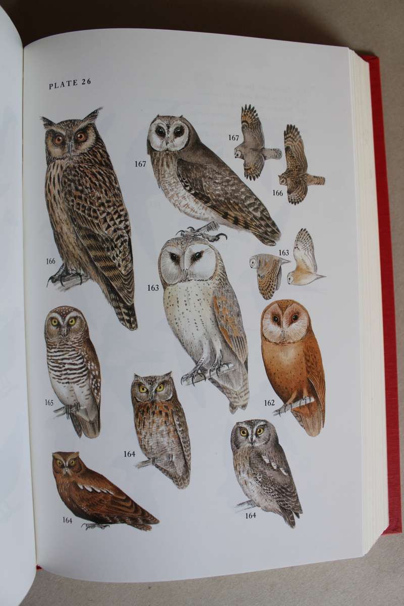 Guide to the Birds of Madagascar - Langrand