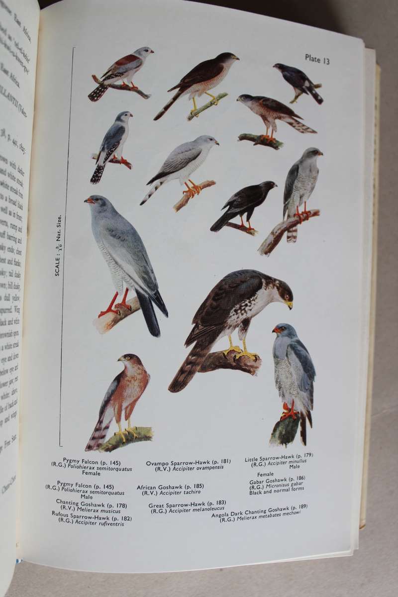 BIRDS OF THE SOUTHERN THIRD OF AFRICA series two volumes 1 & 2