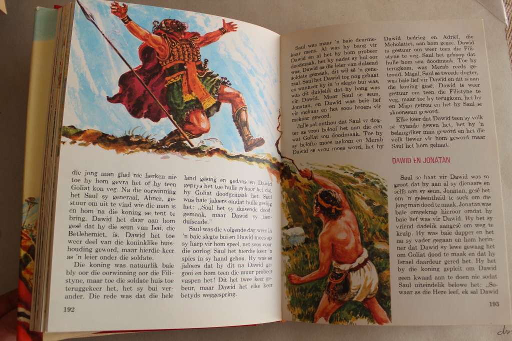 Die Nuwe Kinderbybel in kleur in mooi toestand