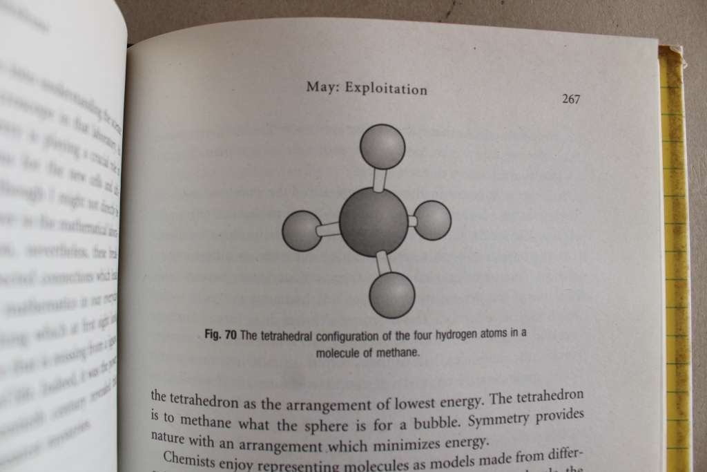 Finding Moonshine: A Mathematician`s Journey Through Symmetry Marcus Du Sautoy