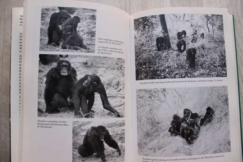 Through a Window - 30 Years with the Chimpanzees of Gombe - Jane Goodall
