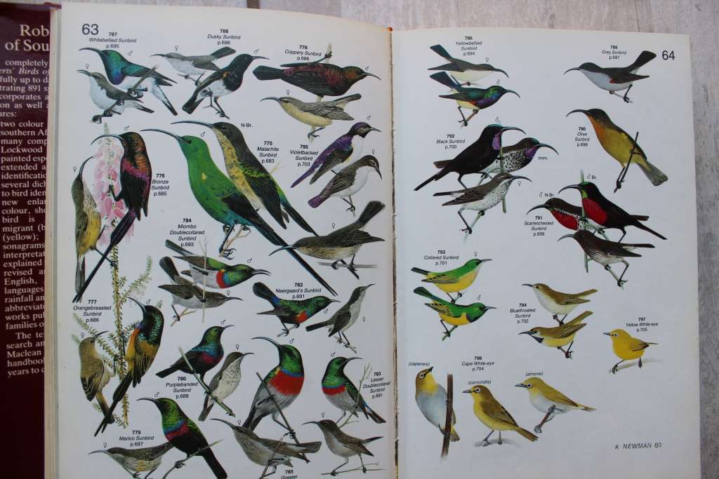 Robert`s Birds of Southern Africa / Gordon Lindsay Maclean