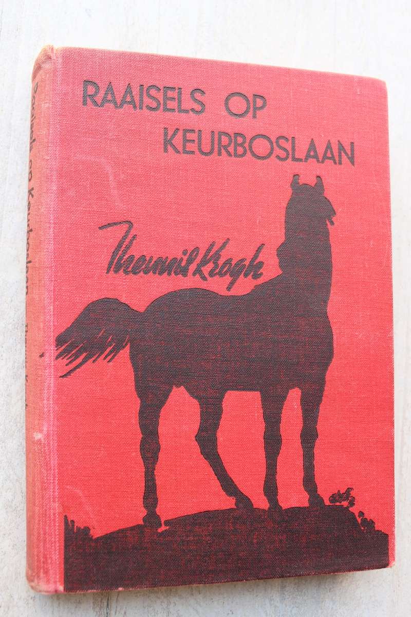 Raaisels op Keurboslaan - Theunis Krogh