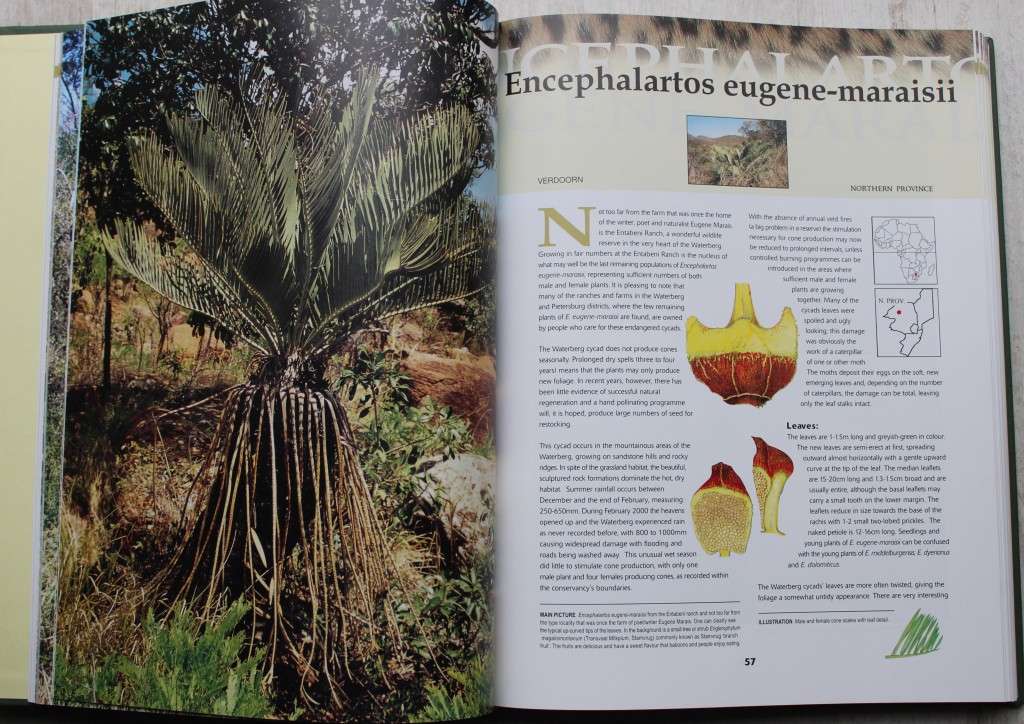 Cycads of Africa - Doyglas Goode