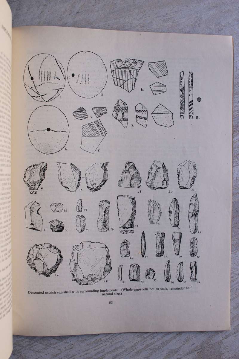 THE SOUTH AFRICAN ARCHAEOLOGICAL BULLETIN number 31  volume viii - September 1953