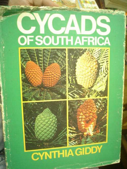 Cycads of Southern Africa - Giddy