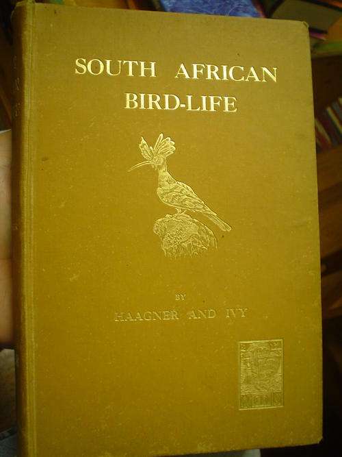 South African Bird-Life - Ivy