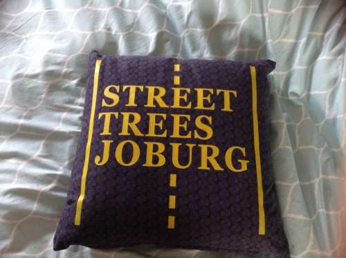 Blue with  yellow designer  boutique joburg down scatter pillows