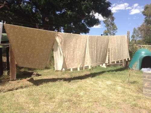 Gold and cream/beige tab vine design curtains