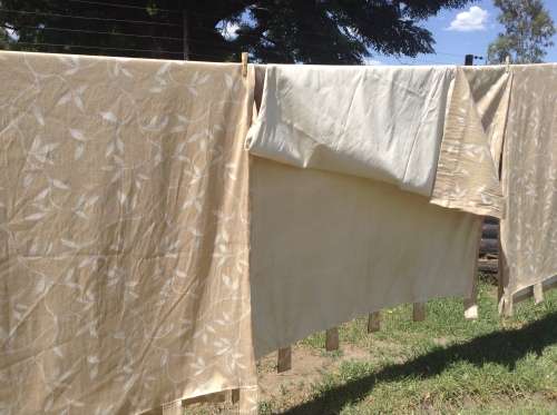 Gold and cream/beige tab vine design curtains